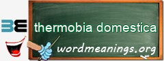 WordMeaning blackboard for thermobia domestica